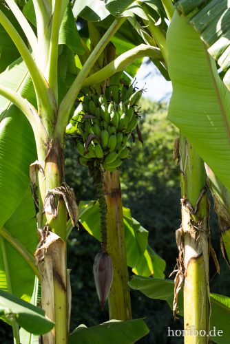 HR-17-08-24-11-49-46-4127