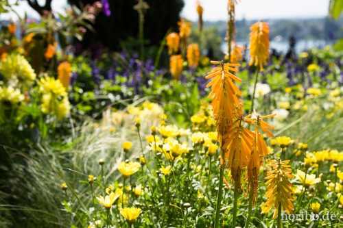 HR-17-08-24-12-52-34-4157