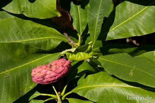 HR-17-08-24-13-14-22-4168