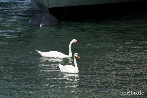 HR-17-08-24-14-46-40-4184