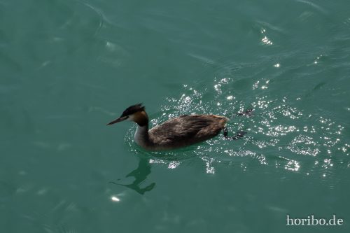 HR-17-08-25-14-36-40-4266