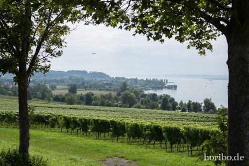 HR-17-08-27-12-40-42-4424