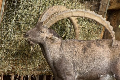 HR-17-08-27-15-50-56-4498