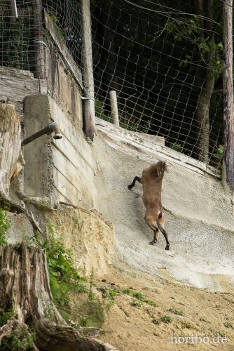 HR-17-08-27-15-54-29-4503