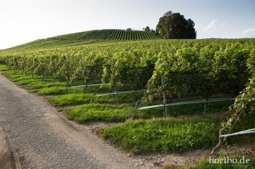 HR-17-08-27-18-35-48-4510