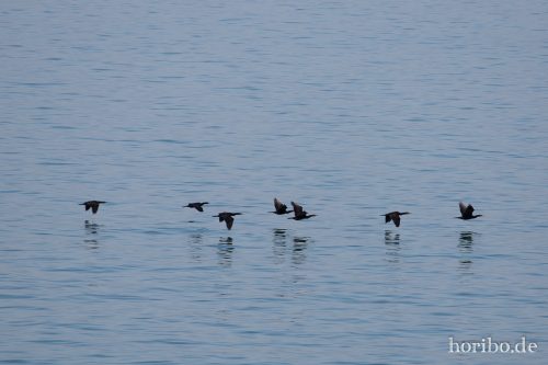 HR-17-08-29-09-37-51-4732