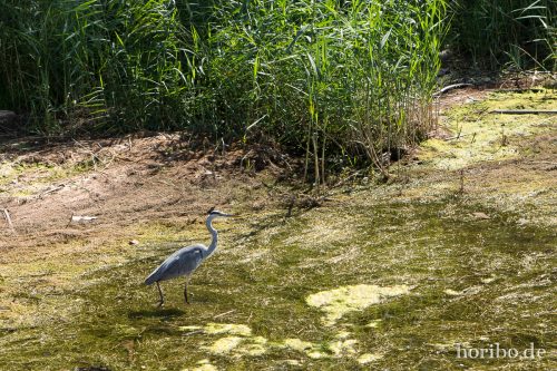 HR-17-08-29-11-51-04-4753