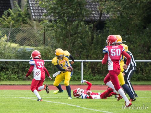 HR-17-09-17-11-21-06-4841