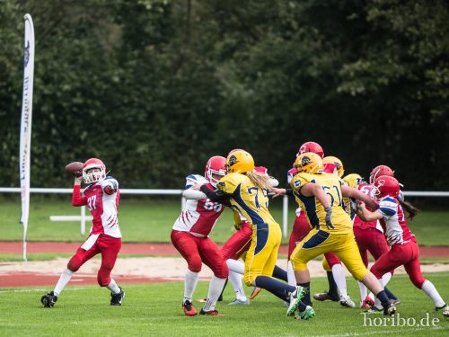 HR-17-09-17-11-24-42-4854