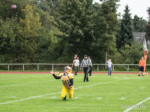 HR-17-09-17-11-24-44-4859