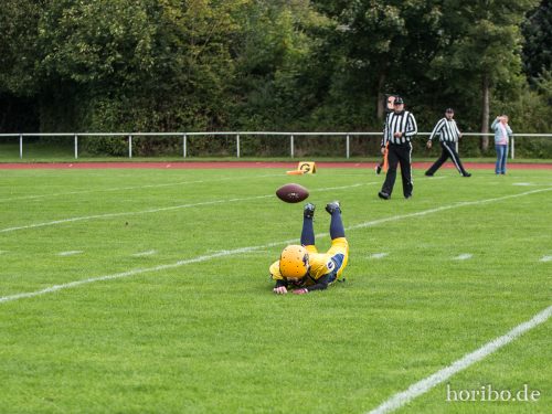 HR-17-09-17-11-24-45-4862