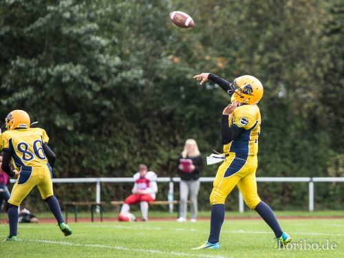 HR-17-09-17-11-28-18-4888