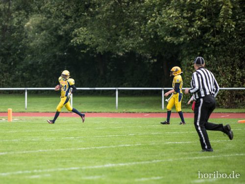 HR-17-09-17-11-29-38-4895