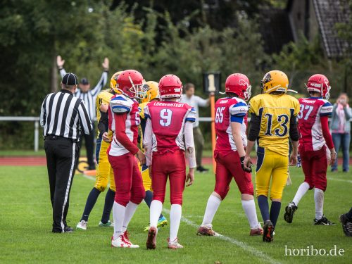 HR-17-09-17-11-30-50-4900