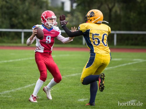 HR-17-09-17-11-34-13-4919