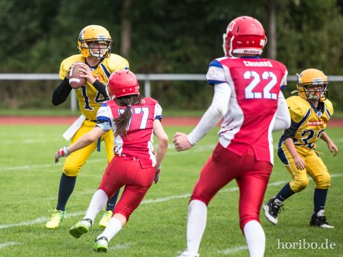 HR-17-09-17-12-01-39-4982