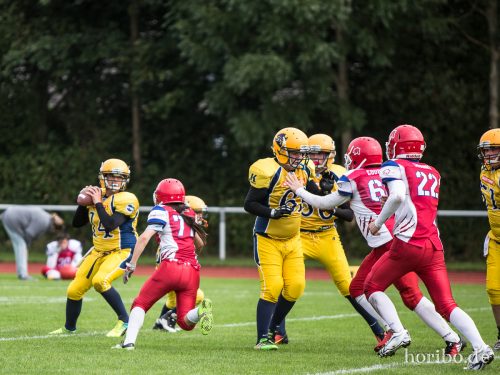 HR-17-09-17-12-04-34-5008