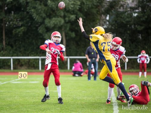 HR-17-09-17-12-14-54-5054