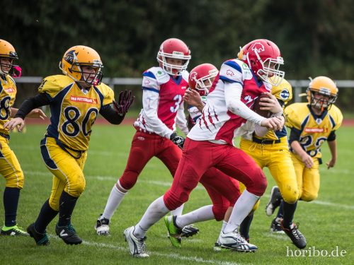 HR-17-09-17-12-14-58-5062