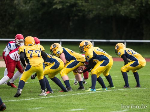 HR-17-09-17-12-19-14-5101