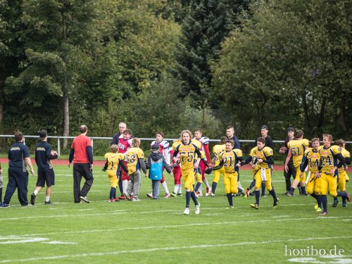 HR-17-09-17-12-31-26-5145