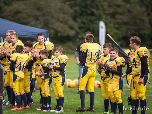 HR-17-09-17-12-31-58-5147