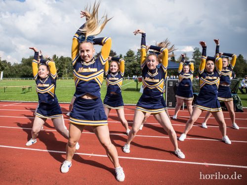 HR-17-09-17-14-45-33-5389