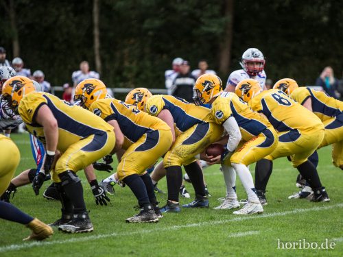 HR-17-09-17-17-31-27-5936