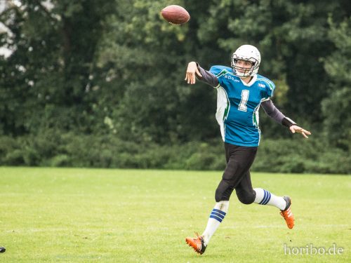 HR-17-09-24-15-41-27-6136