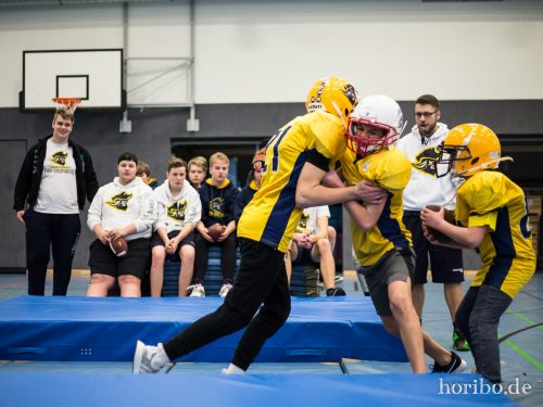 HR-18-01-27-16-24-37-6917