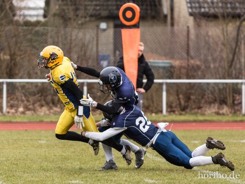 HR-18-03-25-15-08-59-8185