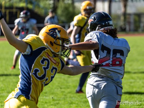 HR-18-04-21-16-03-13-8590