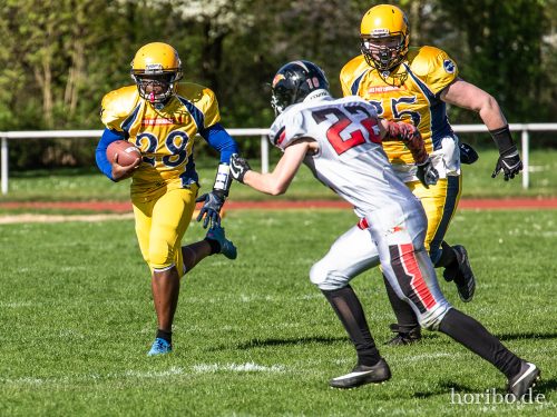 HR-18-04-21-16-17-03-8650