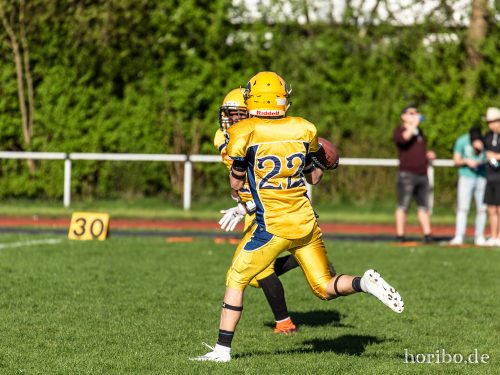 HR-18-04-21-17-31-53-8833