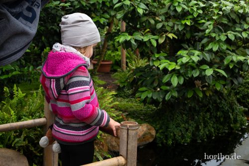 HR-18-05-01-14-22-07-9118