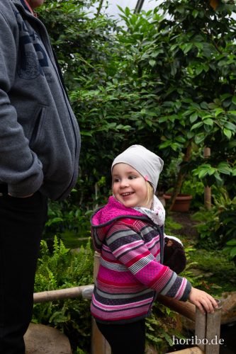 HR-18-05-01-14-22-11-9120