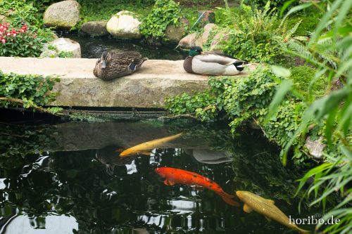 HR-18-05-01-14-28-23-9128