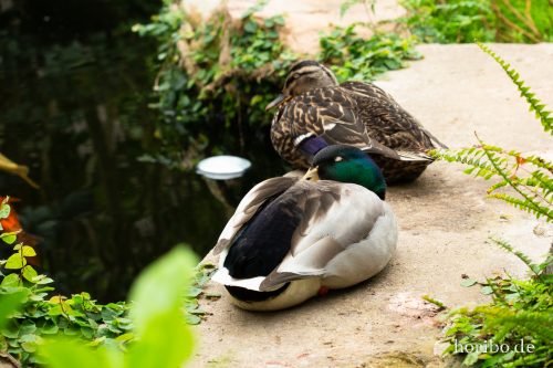 HR-18-05-01-14-29-01-9129