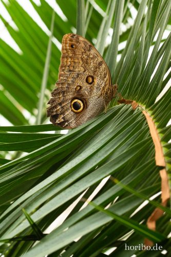 HR-18-05-01-14-46-59-9131