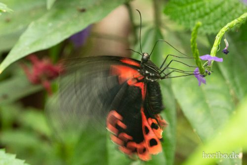 HR-18-05-01-14-47-56-9136