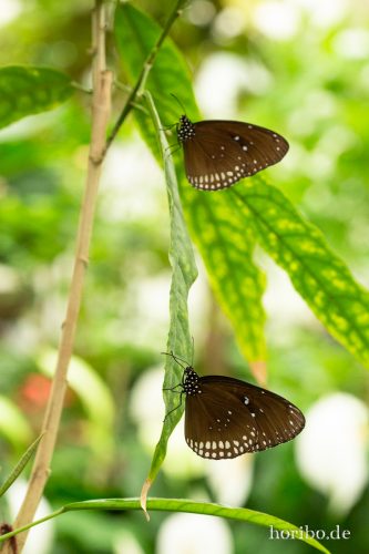 HR-18-05-01-14-50-57-9143