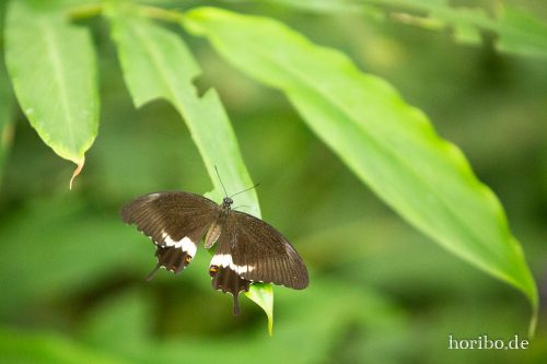 HR-18-05-01-15-09-28-9186