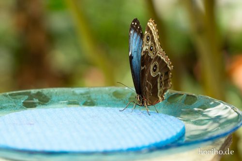 HR-18-05-01-15-14-58-9210