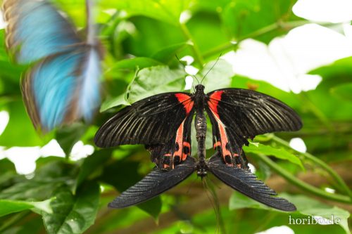 HR-18-05-01-15-18-05-9222