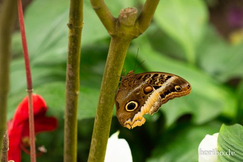 HR-18-05-01-15-24-40-9248