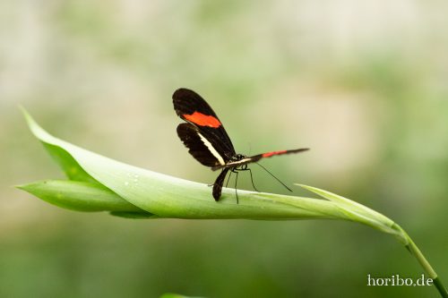 HR-18-05-01-15-25-27-9253