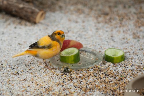 HR-18-05-01-15-47-40-9270