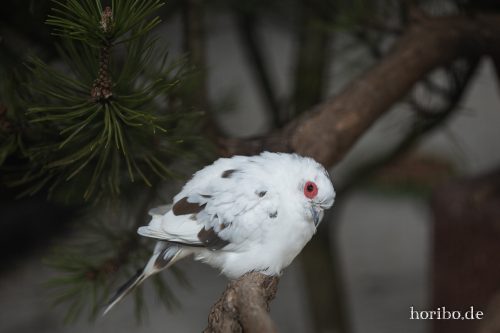 HR-18-05-01-15-48-22-9277