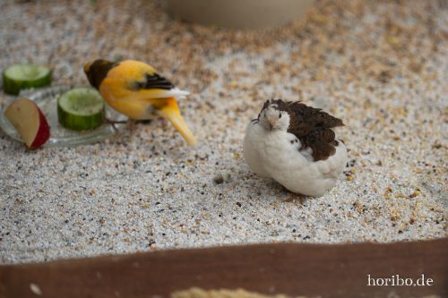 HR-18-05-01-15-48-36-9278