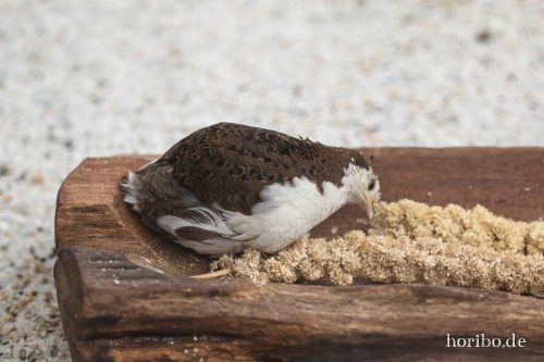 HR-18-05-01-15-48-48-9282